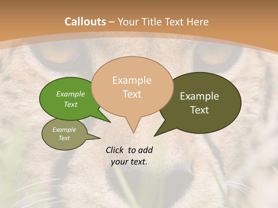 Cheetah Portrait PowerPoint Template