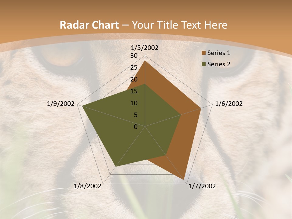 Cheetah Portrait PowerPoint Template