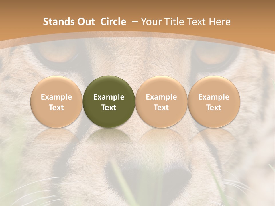 Cheetah Portrait PowerPoint Template