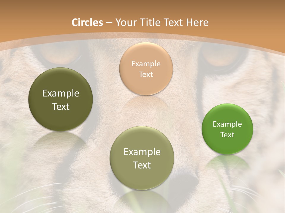 Cheetah Portrait PowerPoint Template