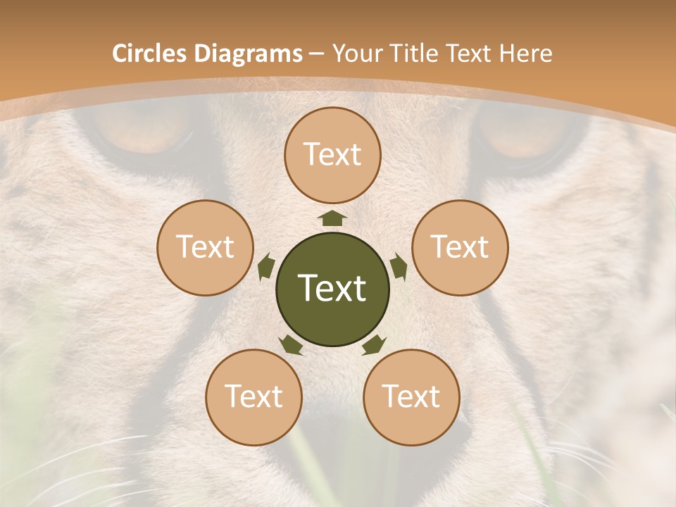 Cheetah Portrait PowerPoint Template