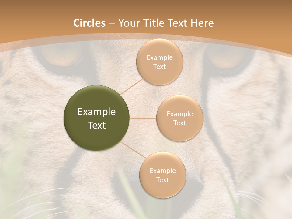 Cheetah Portrait PowerPoint Template