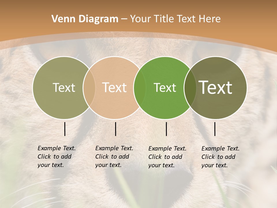 Cheetah Portrait PowerPoint Template