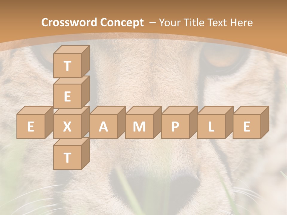 Cheetah Portrait PowerPoint Template