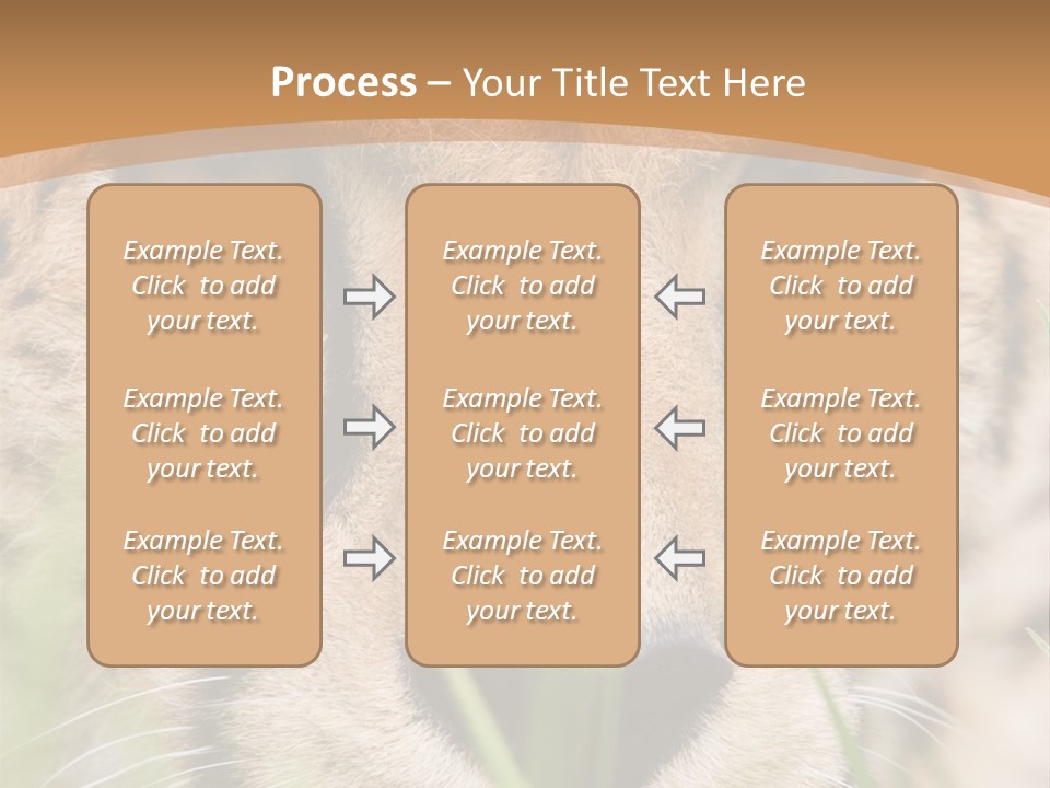 Cheetah Portrait PowerPoint Template