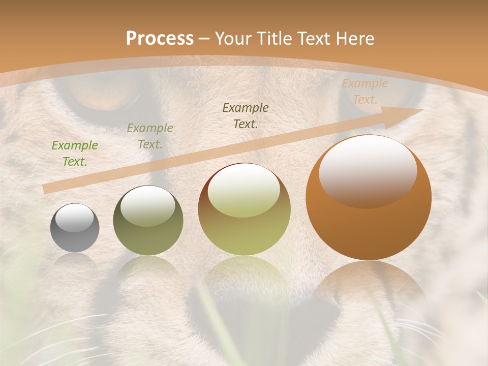 Cheetah Portrait PowerPoint Template