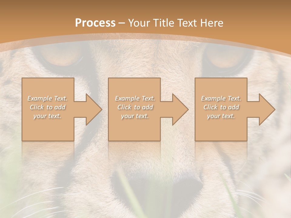 Cheetah Portrait PowerPoint Template
