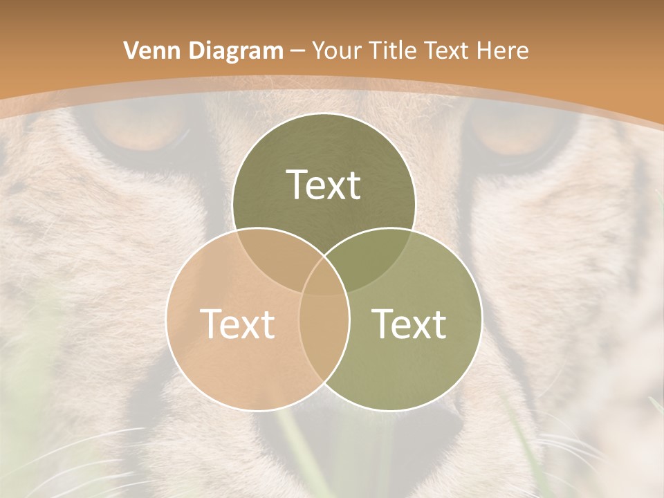 Cheetah Portrait PowerPoint Template