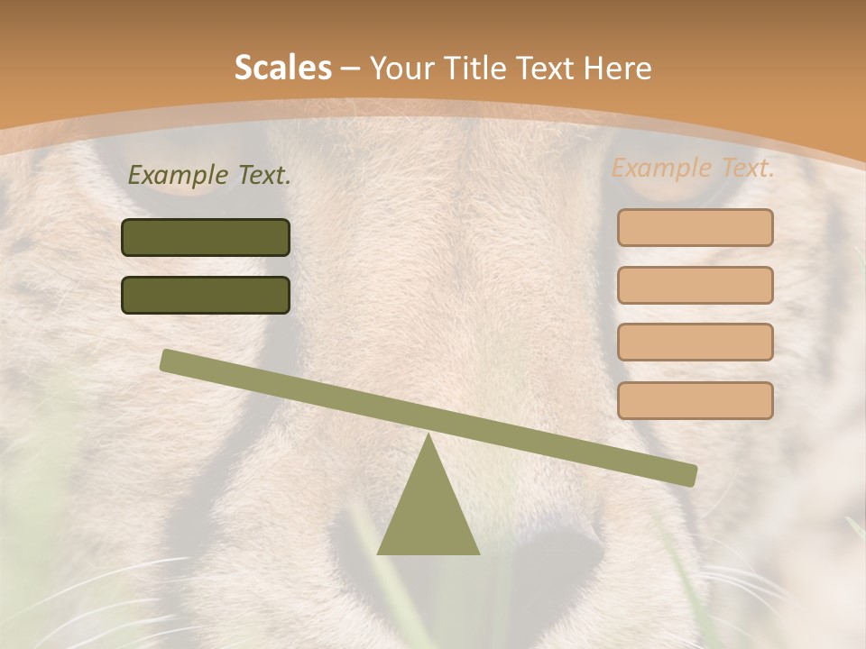 Cheetah Portrait PowerPoint Template