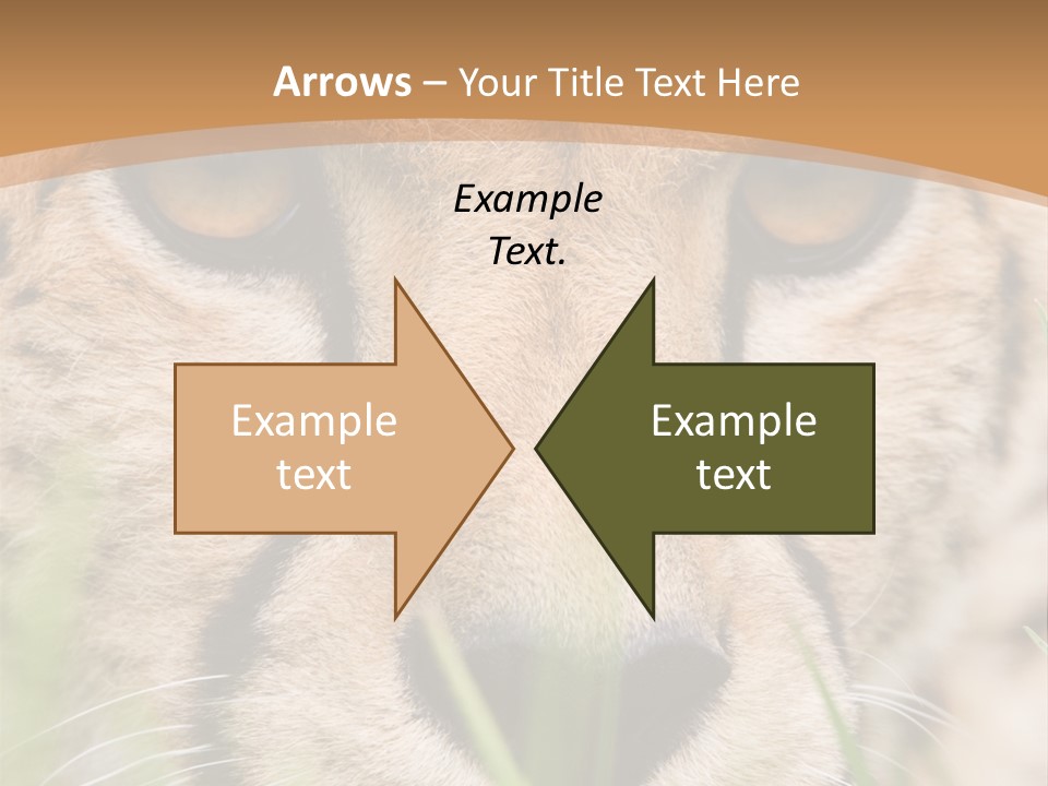 Cheetah Portrait PowerPoint Template