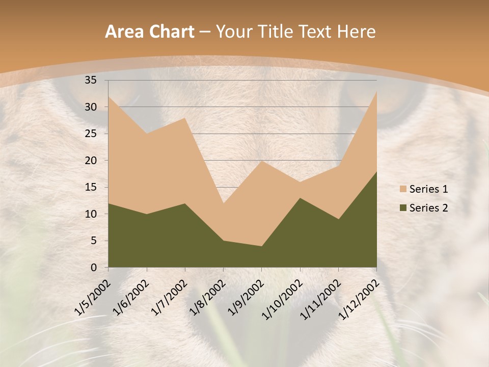 Cheetah Portrait PowerPoint Template