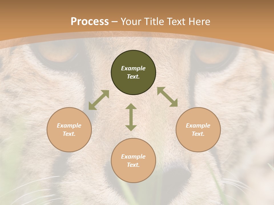 Cheetah Portrait PowerPoint Template