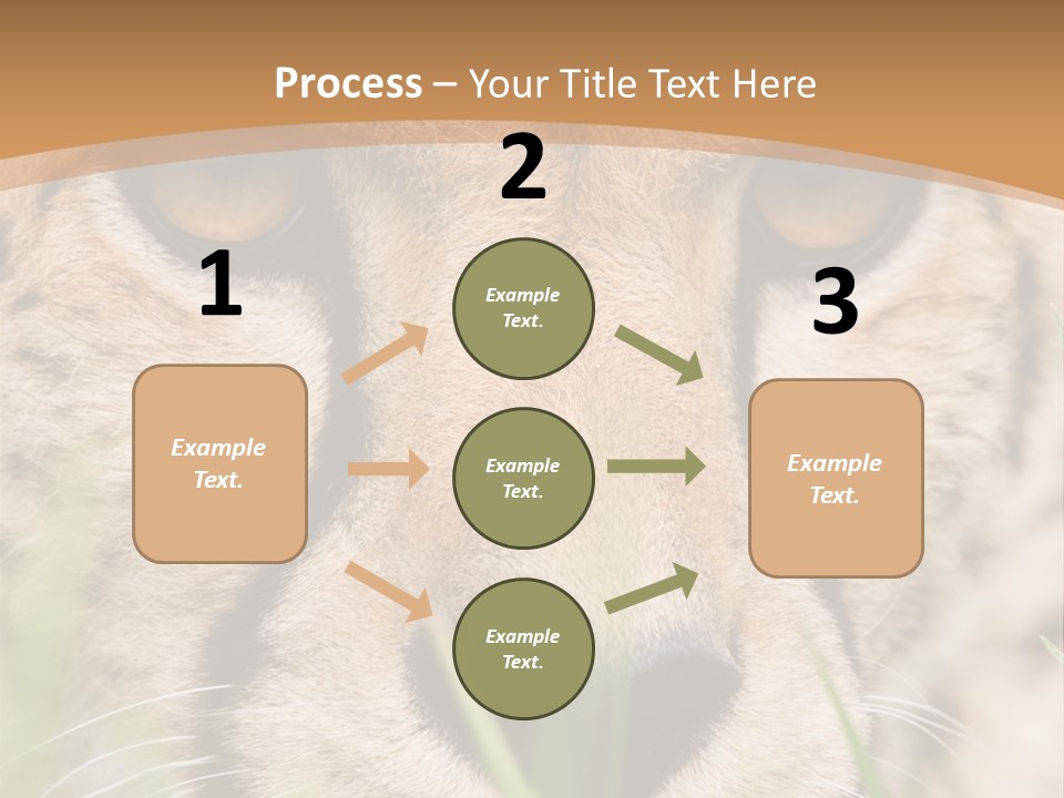 Cheetah Portrait PowerPoint Template