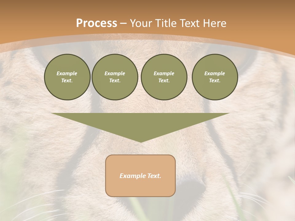 Cheetah Portrait PowerPoint Template