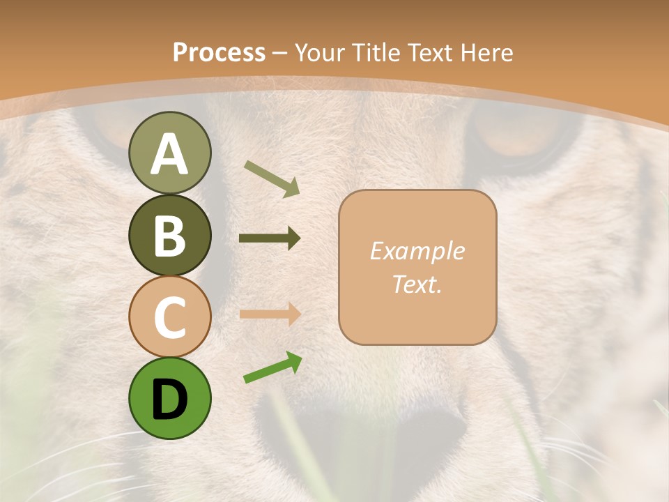 Cheetah Portrait PowerPoint Template