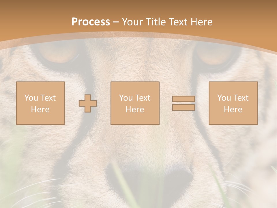 Cheetah Portrait PowerPoint Template