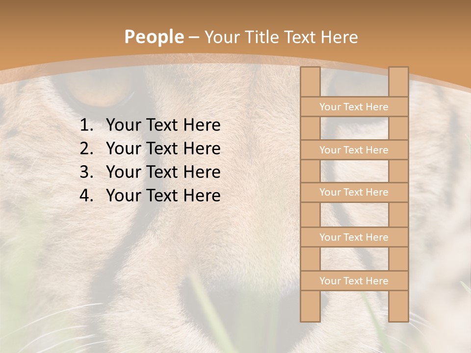 Cheetah Portrait PowerPoint Template