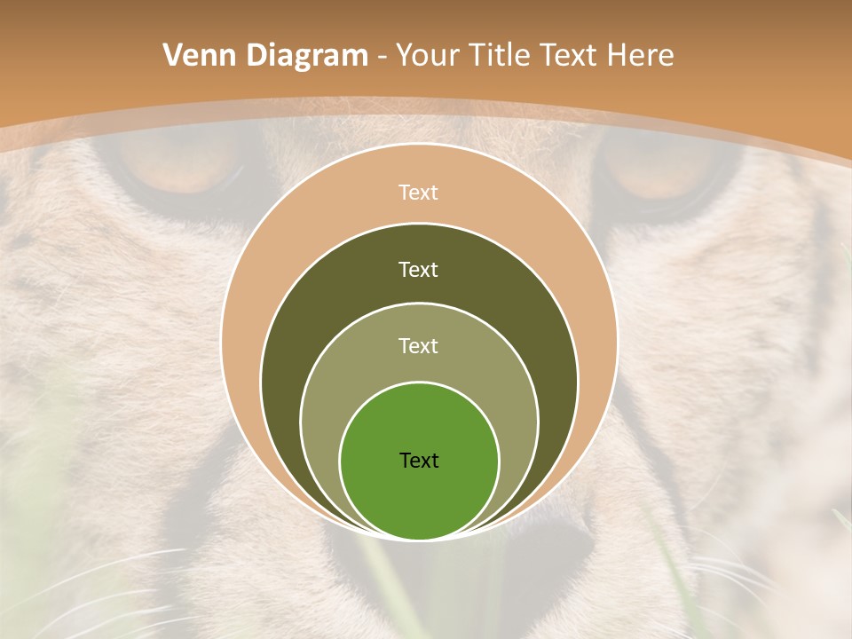 Cheetah Portrait PowerPoint Template