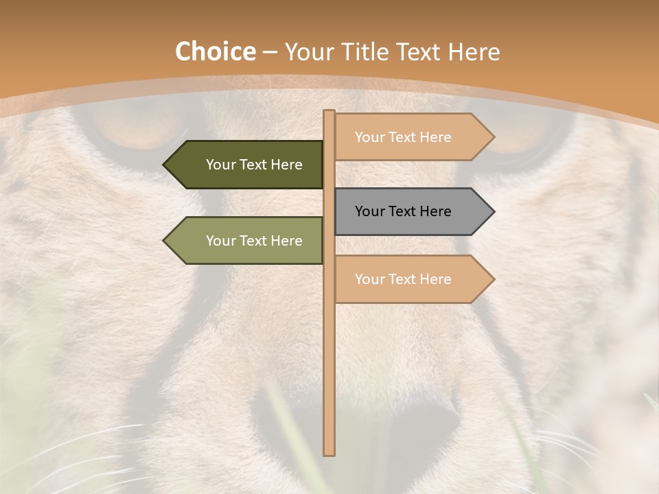 Cheetah Portrait PowerPoint Template