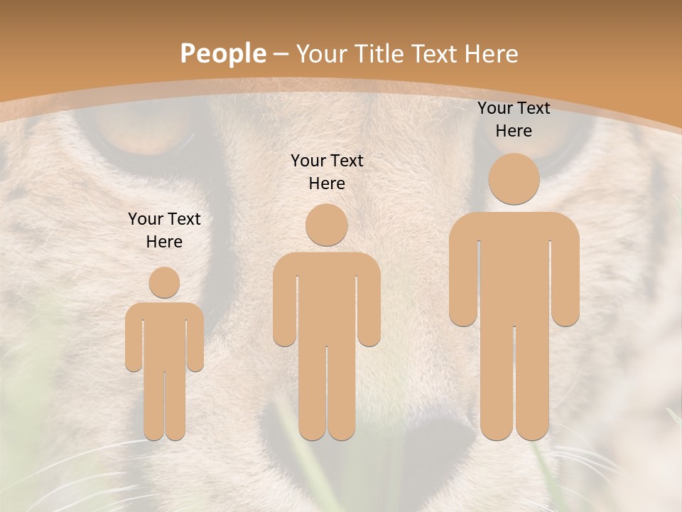 Cheetah Portrait PowerPoint Template