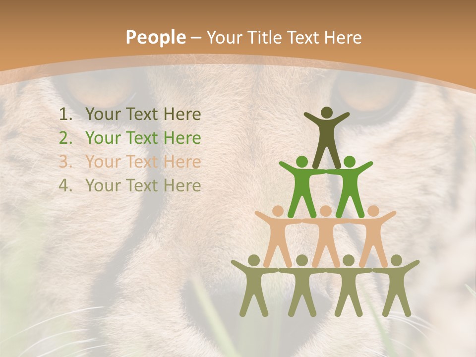 Cheetah Portrait PowerPoint Template