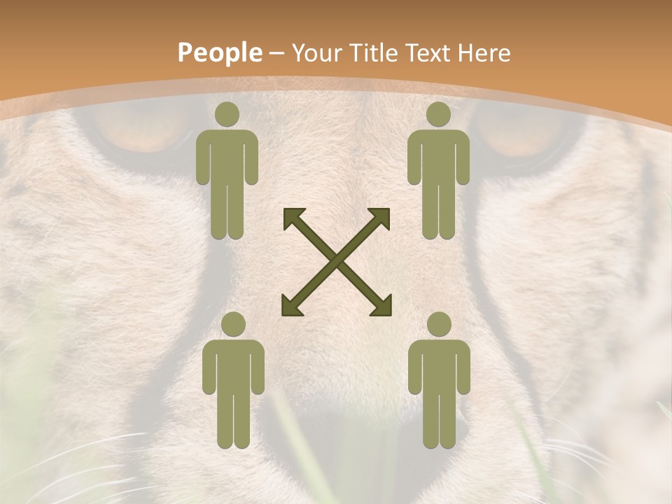 Cheetah Portrait PowerPoint Template
