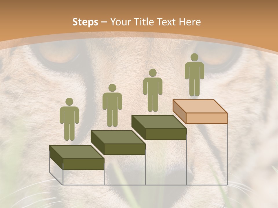 Cheetah Portrait PowerPoint Template
