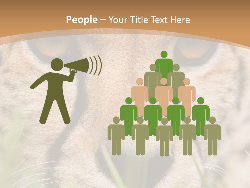 Cheetah Portrait PowerPoint Template