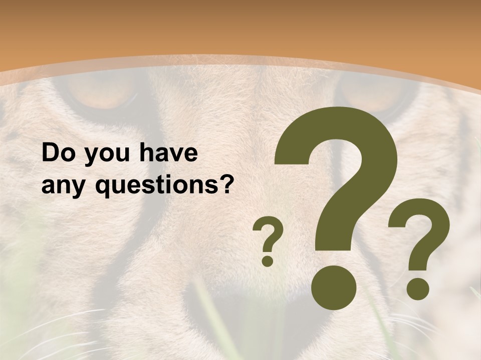 Cheetah Portrait PowerPoint Template