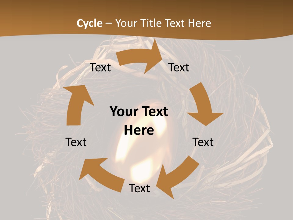 Golden Egg Inside A Nest On Black Background PowerPoint Template