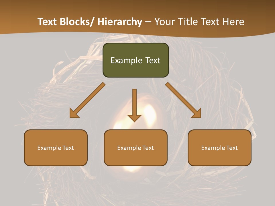 Golden Egg Inside A Nest On Black Background PowerPoint Template