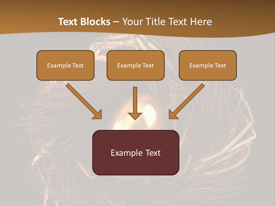 Golden Egg Inside A Nest On Black Background PowerPoint Template