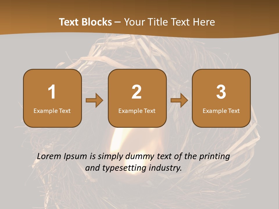 Golden Egg Inside A Nest On Black Background PowerPoint Template