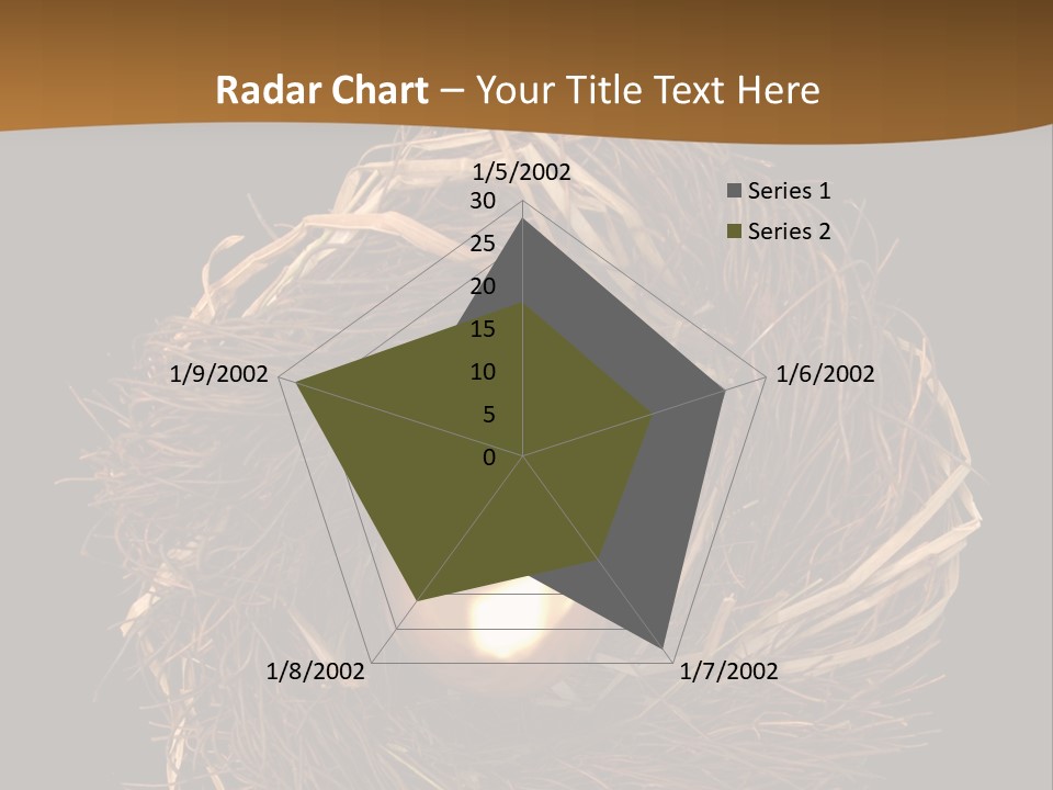 Golden Egg Inside A Nest On Black Background PowerPoint Template