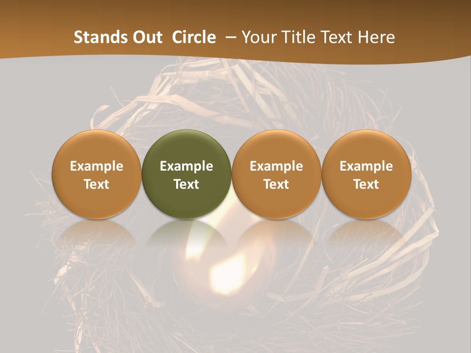 Golden Egg Inside A Nest On Black Background PowerPoint Template