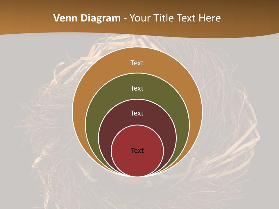 Golden Egg Inside A Nest On Black Background PowerPoint Template