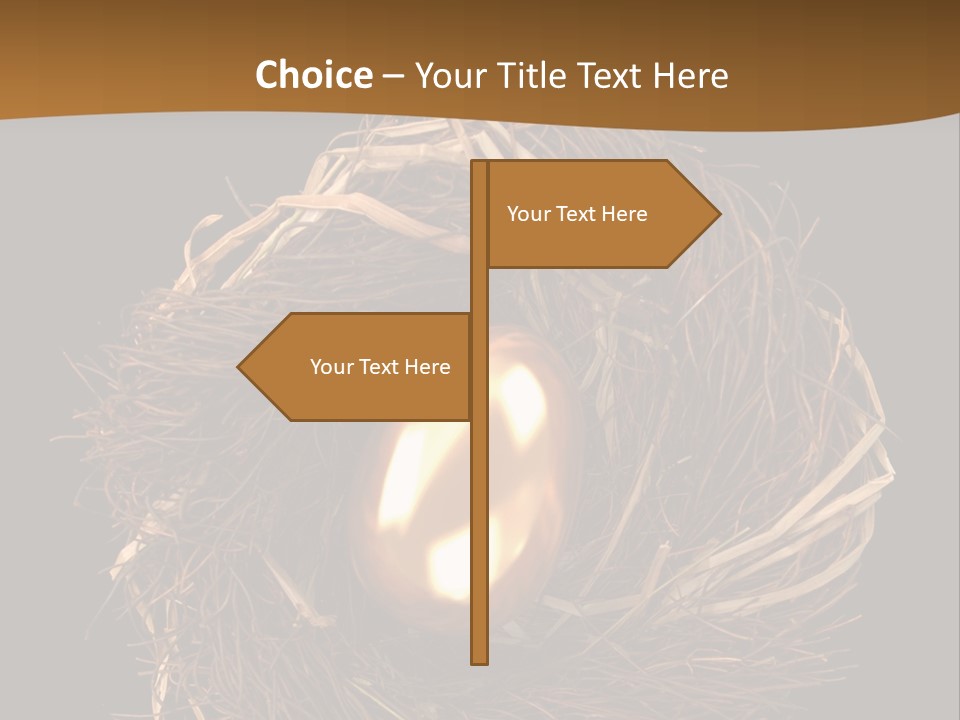 Golden Egg Inside A Nest On Black Background PowerPoint Template
