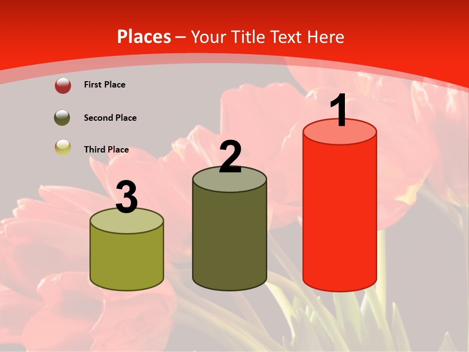 Bouquet Of A Tulips Isolated On A Black Background PowerPoint Template