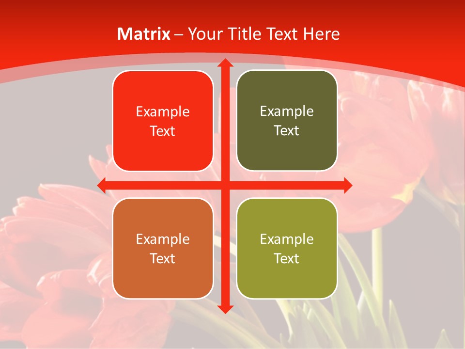 Bouquet Of A Tulips Isolated On A Black Background PowerPoint Template