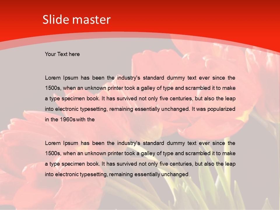 Bouquet Of A Tulips Isolated On A Black Background PowerPoint Template