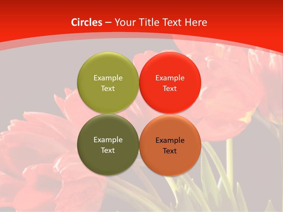 Bouquet Of A Tulips Isolated On A Black Background PowerPoint Template