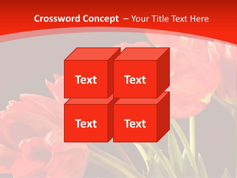 Bouquet Of A Tulips Isolated On A Black Background PowerPoint Template