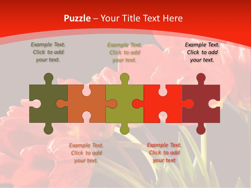 Bouquet Of A Tulips Isolated On A Black Background PowerPoint Template