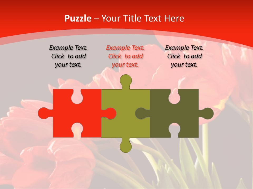 Bouquet Of A Tulips Isolated On A Black Background PowerPoint Template