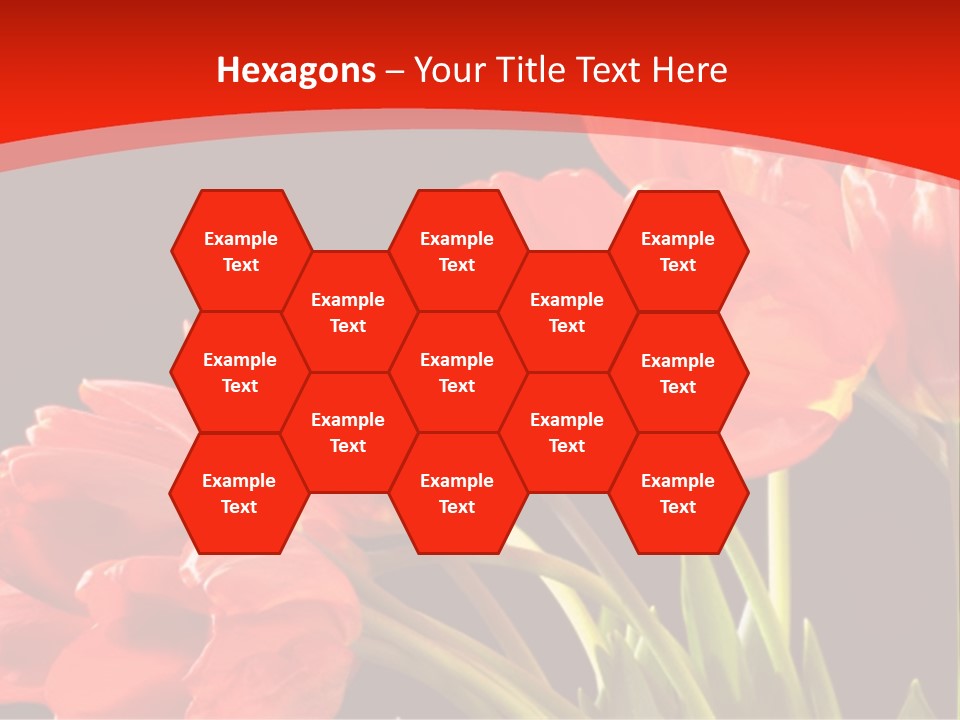 Bouquet Of A Tulips Isolated On A Black Background PowerPoint Template