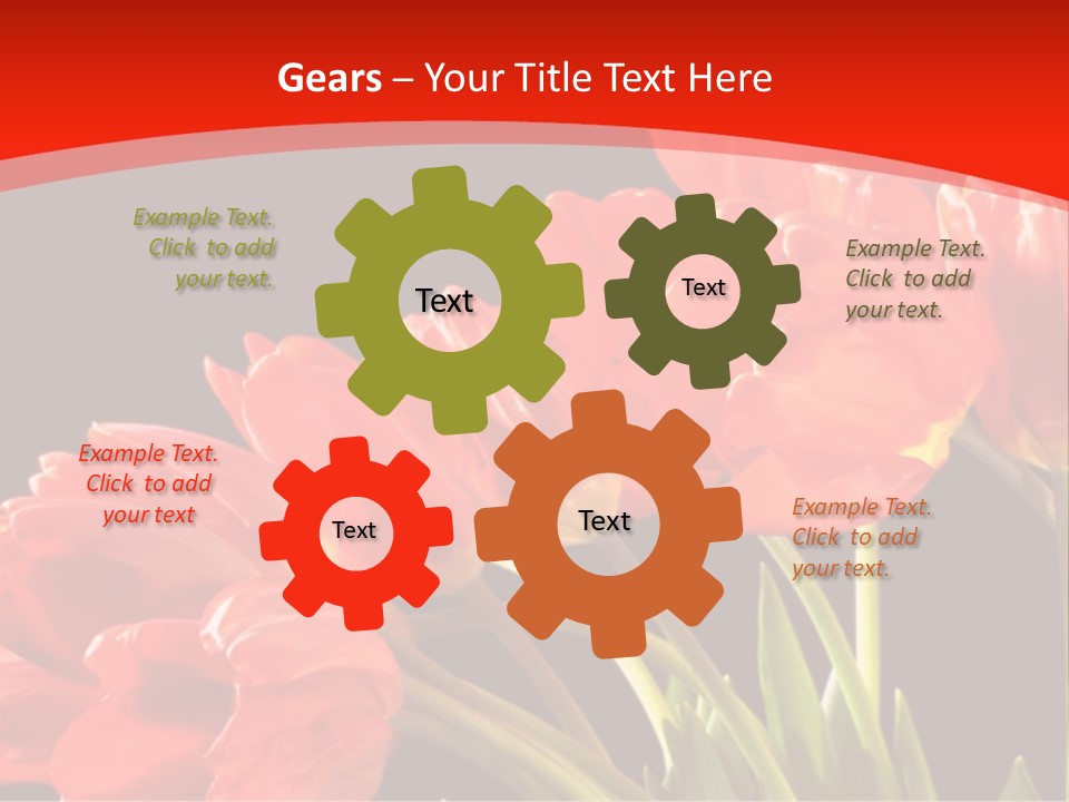 Bouquet Of A Tulips Isolated On A Black Background PowerPoint Template