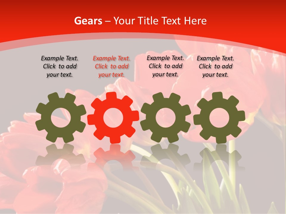 Bouquet Of A Tulips Isolated On A Black Background PowerPoint Template