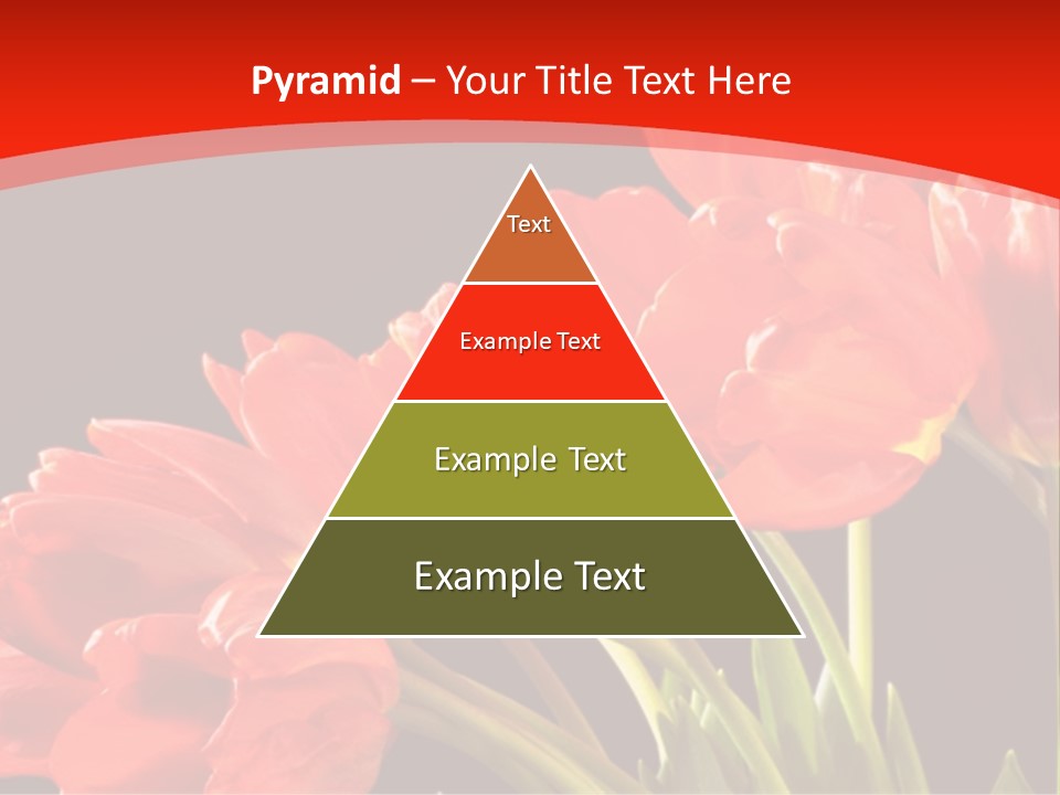 Bouquet Of A Tulips Isolated On A Black Background PowerPoint Template