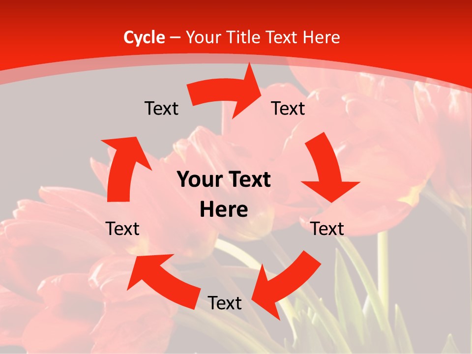 Bouquet Of A Tulips Isolated On A Black Background PowerPoint Template