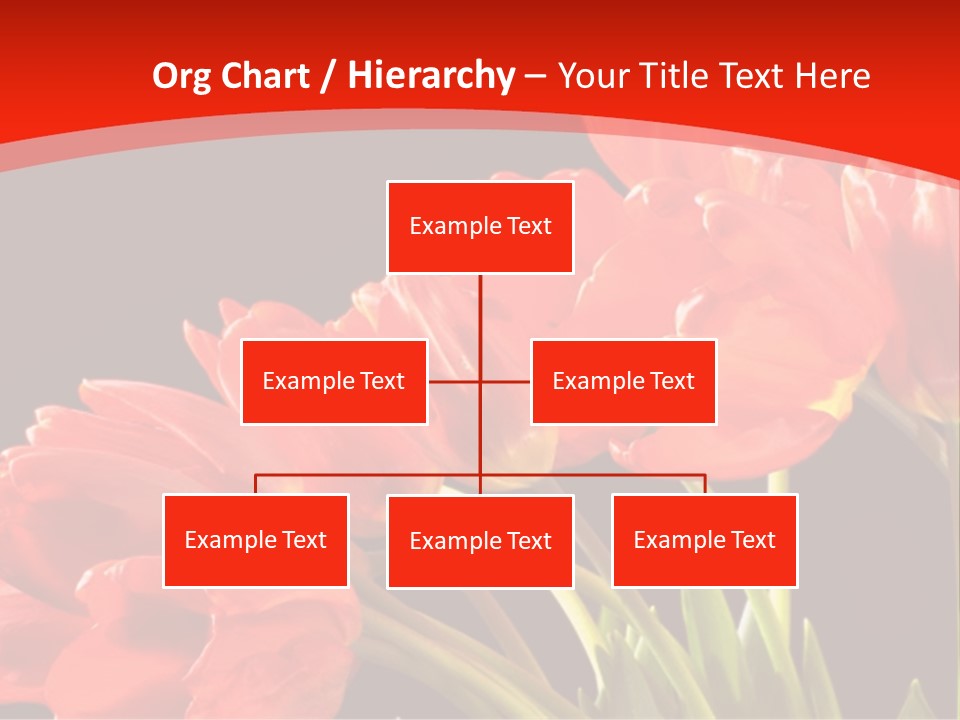 Bouquet Of A Tulips Isolated On A Black Background PowerPoint Template